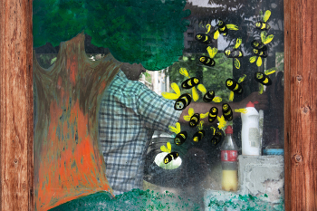 &nbsp; / ***