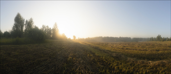 In the morning light / ***