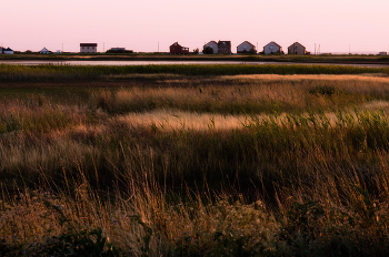 Evening in the estuary / ***