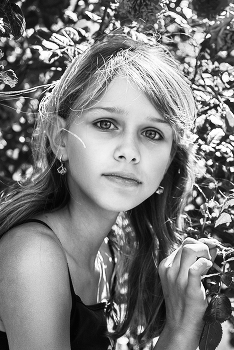 Katenok / ***