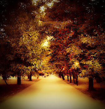 Autumn road / ***