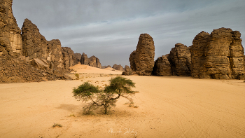 Elephant Rock Valley / ***