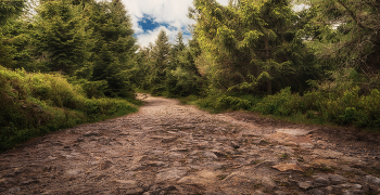 stone road / ***