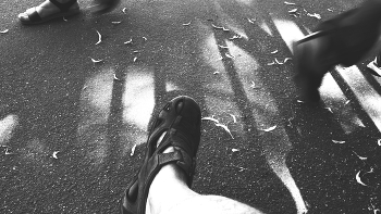 Leben rund um / ***