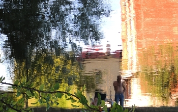 &nbsp; / ***