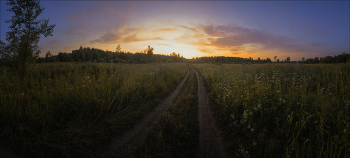 Dusk / ***