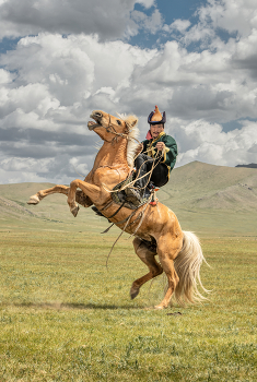 Mongol nomad / ***
