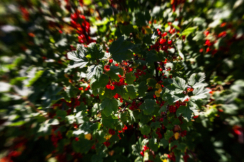Leben rund um / ***