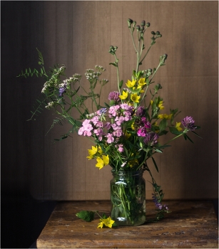 Flowers of the field / ***