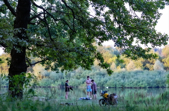 Abendkühle / ***