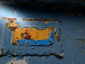 A strange animal / In a new context