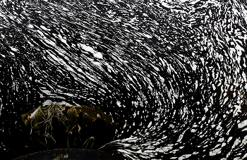 black hole / ***