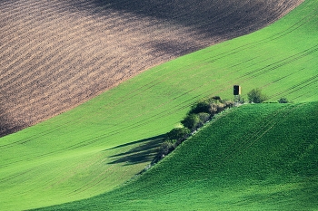 Moravian field / ***
