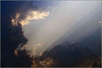 Welkin / ***