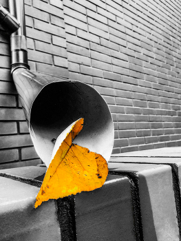 Autumn has come here and ... / ***