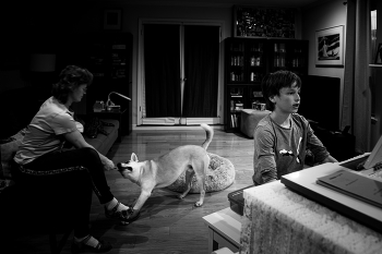 Der Musikunterricht / .....