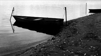 On the lake / ***