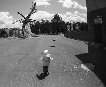 flight of a bird / ***