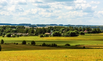 Sommer-Skizzen / ***