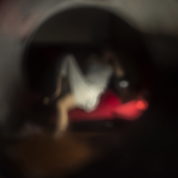 / ***