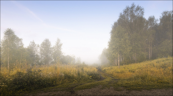 Going to the fog / ***