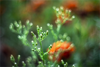 Lights / ***