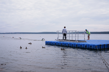 Talente und Verehrer / ***