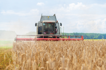 Harvesting / ***