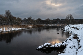 Winter / ***