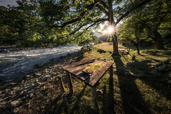 Sunny Meadow By The River / ***
