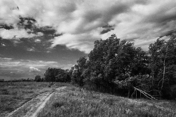 Wind / ***