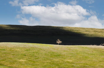 Loneliness / ***