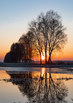Sunrise / ***