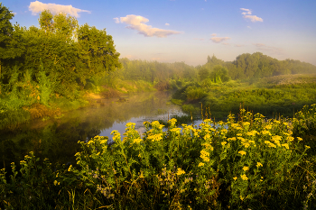 Summer morning. / ***