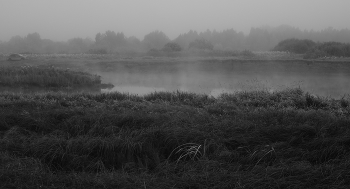 Im Nebel. / ***