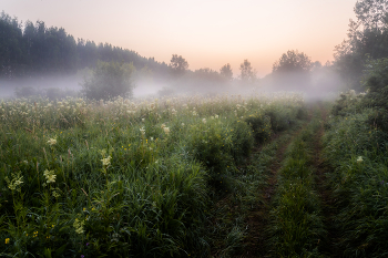 Early morning / ***