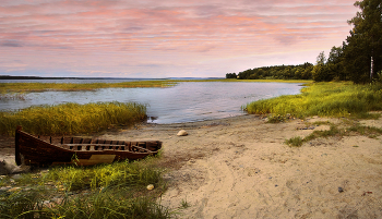 on the shore / ***
