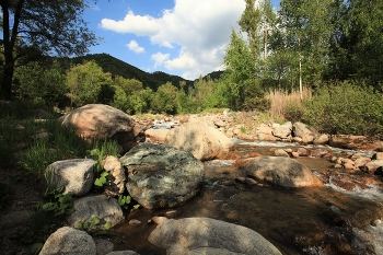 July morning / ***