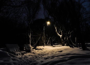 In Winter Park / ***