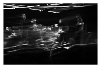  / Only one picture.
No artificial intelligence
No PH
No collage