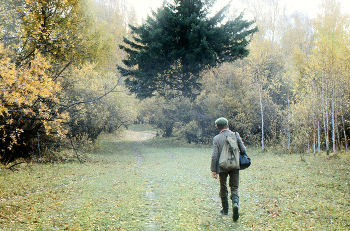 Im Herbst / ***