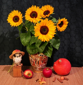 Autumn / https://www.youtube.com/watch?v=x1QDSsYgYb4&t=38s
https://www.youtube.com/watch?v=O-UYOeMUfyQ&t=2s
https://www.youtube.com/watch?v=PwBxQxTJuas&t=2s