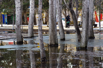 Dieser Frühling / ***