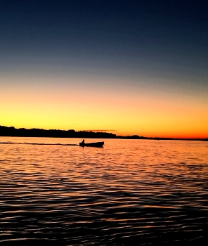 Sunset / ***