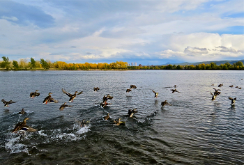 Herbst / ***