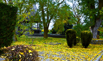 Golden Autumn / ***