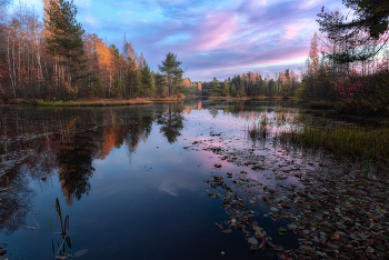Evening calm / ***