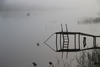Foggy morning / ***