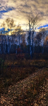 Autumn / ***