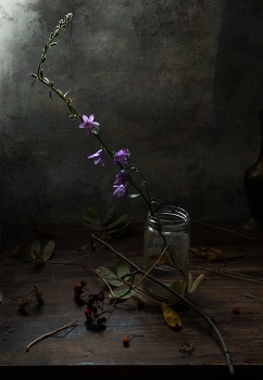 Bell / ***